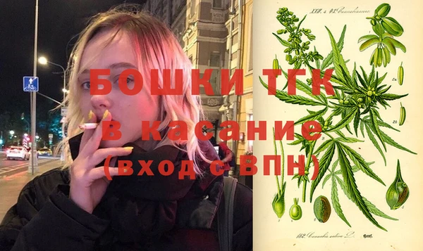 стафф Майский