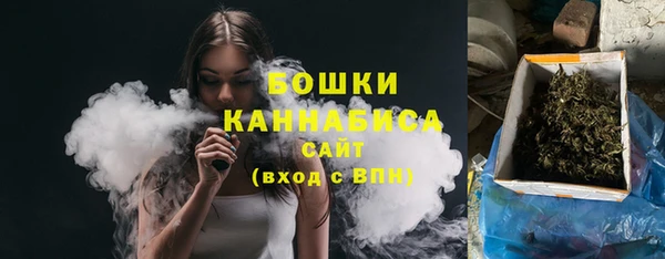 стафф Майский