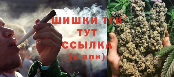 стафф Майский