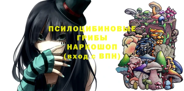 стафф Майский