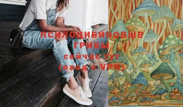 гидра Магадан